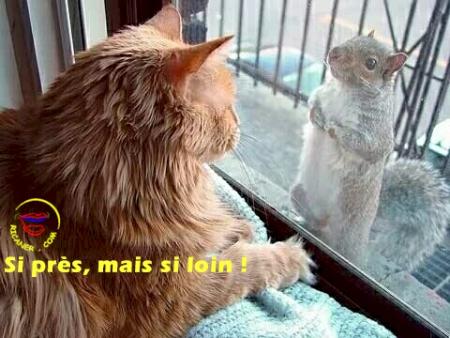 si prés mais loin